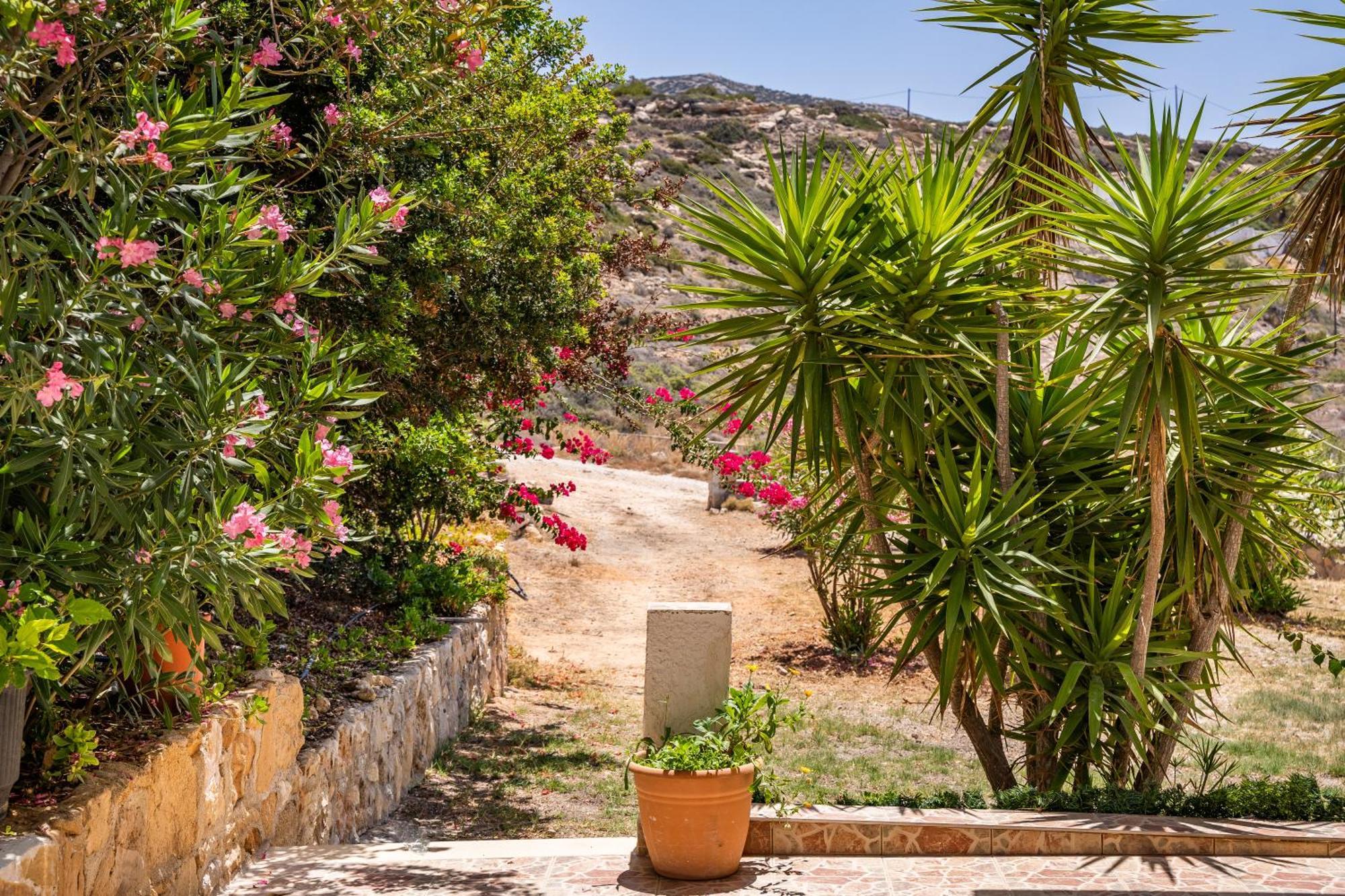 Sun Week Bay Hotell Lefkos  Eksteriør bilde
